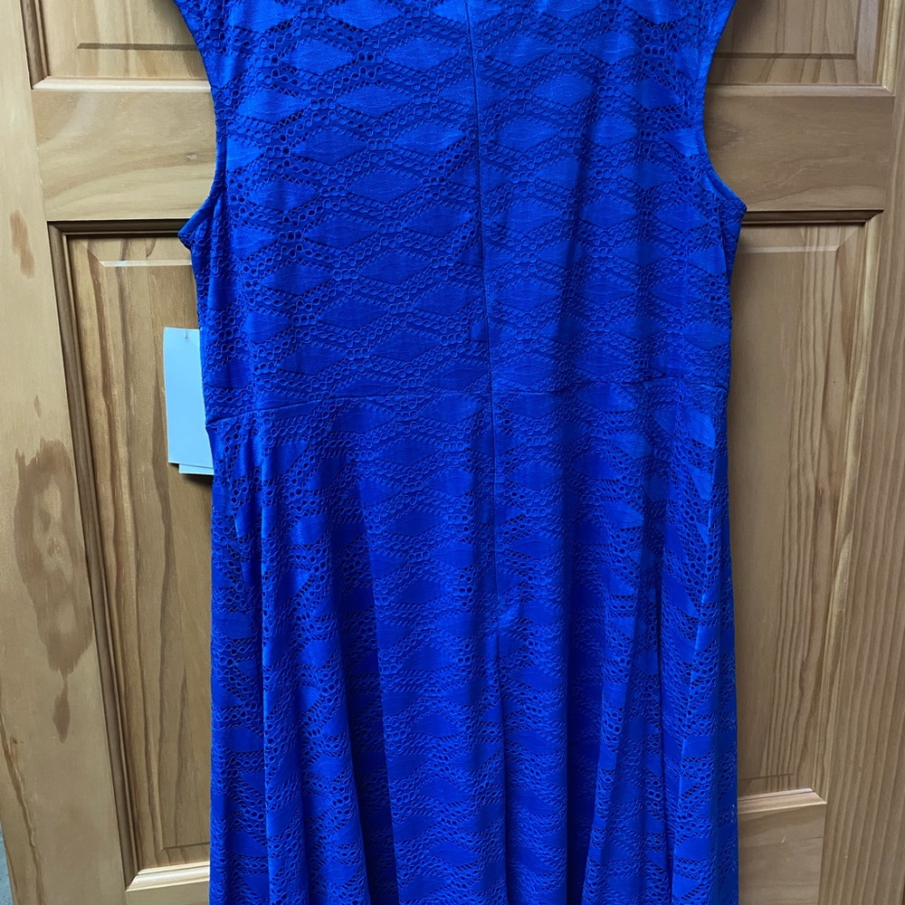 Cobalt blue Kylie lace knit dress
